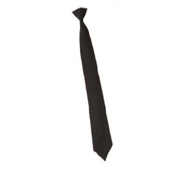 Ladies Neck Tie with Clip Thumbnail